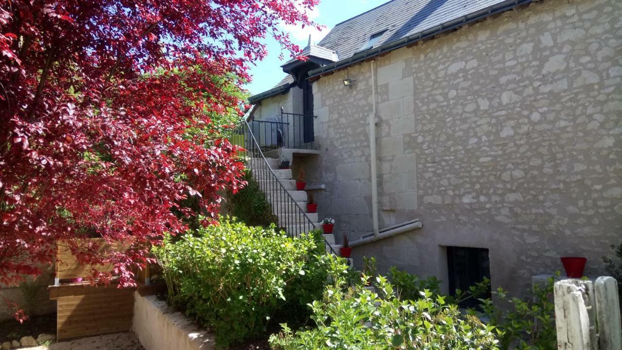 Gites Et Chambres Des Coteaux Sainte-Maure-de-Touraine Esterno foto